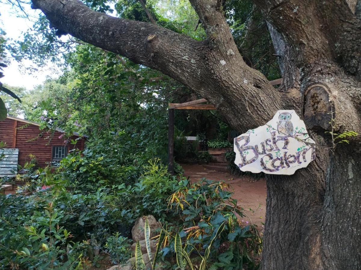 Beach Wood Cottages Shelly Beach Eksteriør billede