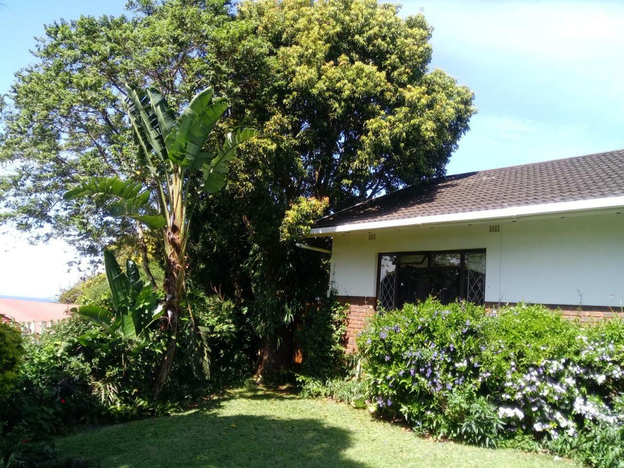 Beach Wood Cottages Shelly Beach Eksteriør billede