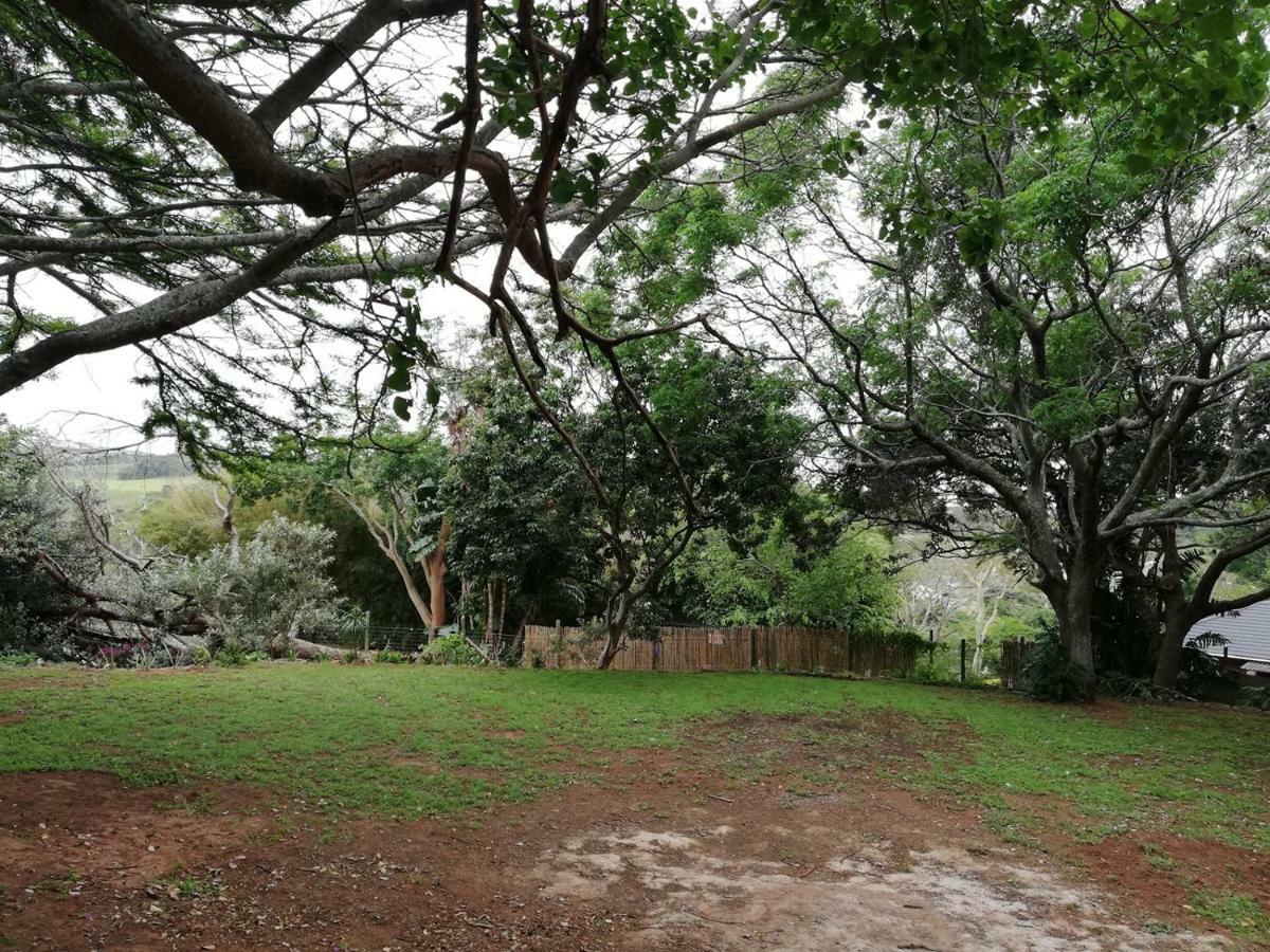 Beach Wood Cottages Shelly Beach Eksteriør billede