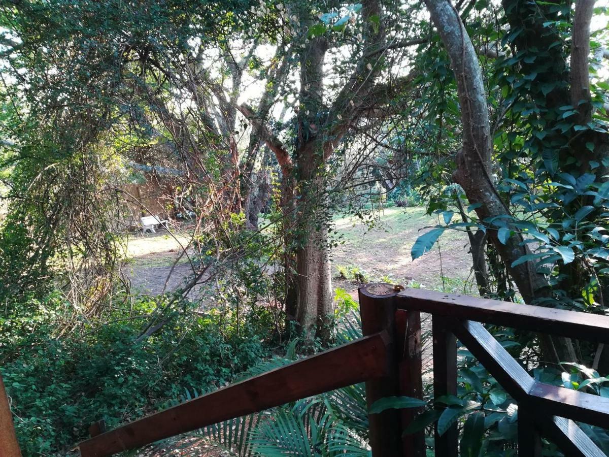 Beach Wood Cottages Shelly Beach Eksteriør billede